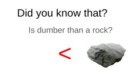 Did you know that (blank) is dumber than a rock? Meme Template