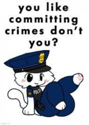 you like committing crimes dont you? Meme Template