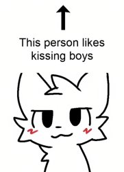 the person above likes kissing boys Meme Template