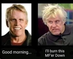 gary busey Meme Template