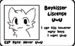 Boy kisser license Meme Template