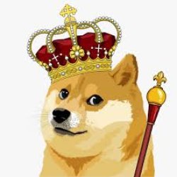 King doge Meme Template