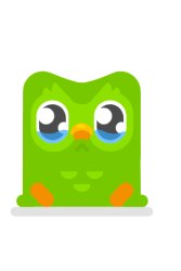 Duolingo Bird Sad Meme Template