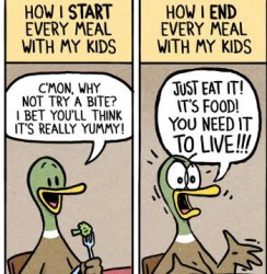 funny duck comics Meme Template