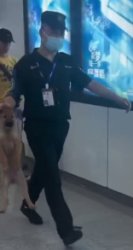 Airport Security Guard Carrying Dog Meme Template