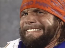 Macho Man 1 Meme Template