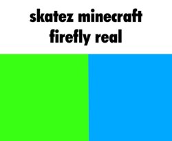 Skatez Minecraft firefly real Meme Template