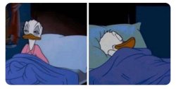 DONALD DUCK GOES BACK TO BED Meme Template