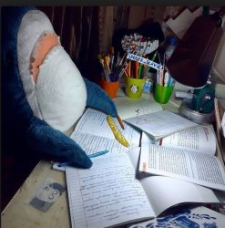 Shark doing Homework Meme Template