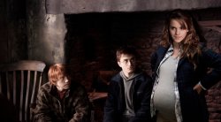Pregnant Hermione Meme Template