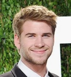 liam hemsworth Meme Template