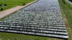 Busted Solar Farm Hailstorm Meme Template