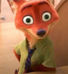 Blank Stare Nick Meme Template