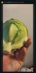 Cooking lettuce Meme Template