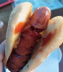 Hotdog Meme Template