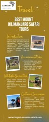 Best Mount Kilimanjaro Safari Tours Meme Template