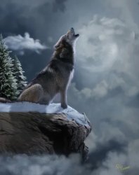 Howl Meme Template
