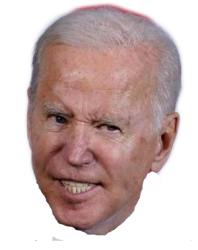 angry biden head Meme Template