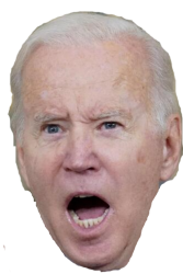 angry Biden Head Meme Template