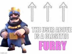 the user above i a furry Meme Template