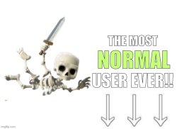 The most normal user ever Meme Template