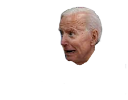 biden head scared Meme Template