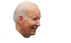 biden head side Meme Template