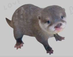 Love My Beloved Otter Cleft Lip Meme Template