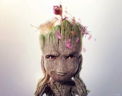 groot Meme Template
