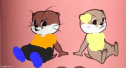 B-Side Kotaro And Hana The Otters Meme Template