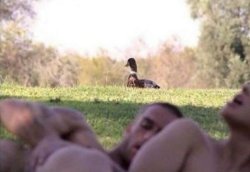 intruding duck Meme Template