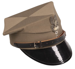 Polish Army Hat Meme Template