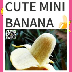 Cute Mini Banana Meme Template