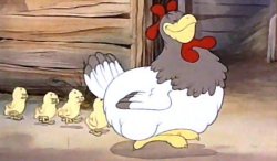 Chicks following mother hen Meme Template