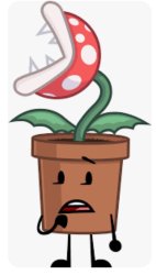 Petey Piranha Plant Kotaro The Otter Toons Wiki Fandom Meme Template