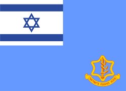 Flag of the IDF Meme Template