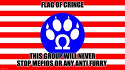 Pro furry flag but I ruined it Meme Template