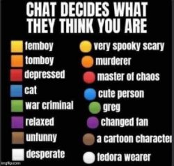 Chat decides what they think you are Meme Template