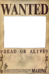 Wanted poster Meme Template