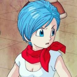 bulma guess Meme Template