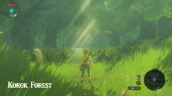 Korok Forest Meme Template