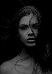 inst -3 Meme Template