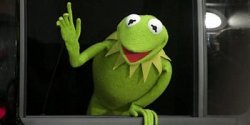kermit the frog uhm actually Meme Template