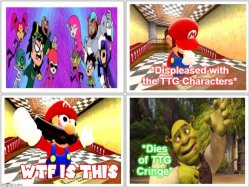 SMG4 Mario Says WTF To Teen Titans GO! Characters Ft. Shrek Meme Template