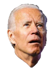 confused Biden larger Meme Template