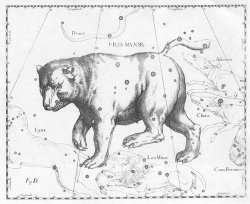 Constellation Bear Meme Template