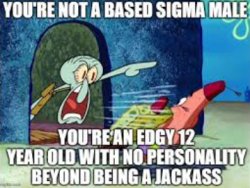 you are not a based sigma male Meme Template
