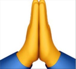 Praying emoji Meme Template