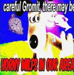 deep fried careful gromit,there may be horny milfs in our area Meme Template