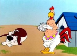 Foghorn Leghorn Meme Template